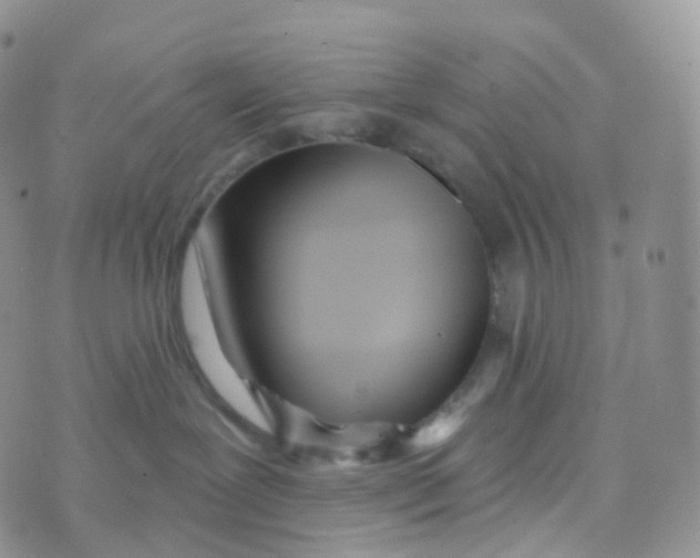 X0000070420239200606302109