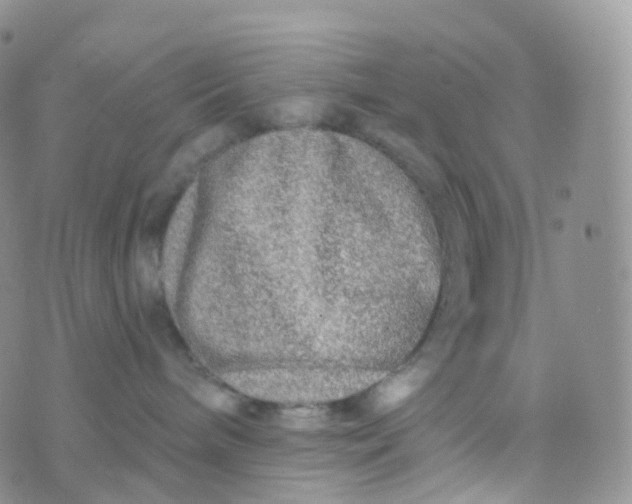 X0000070420240200606302109