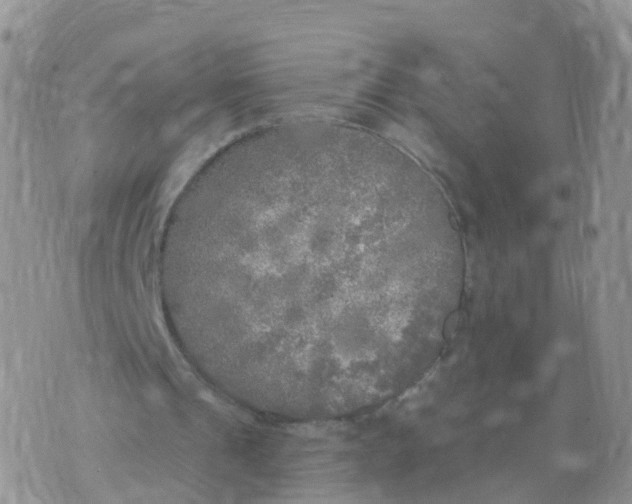 X0000070420241200606302108