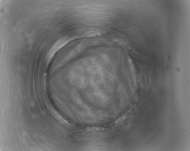 X0000070420242200606302108