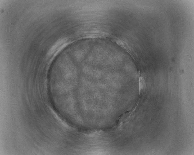 X0000070420243200606302108