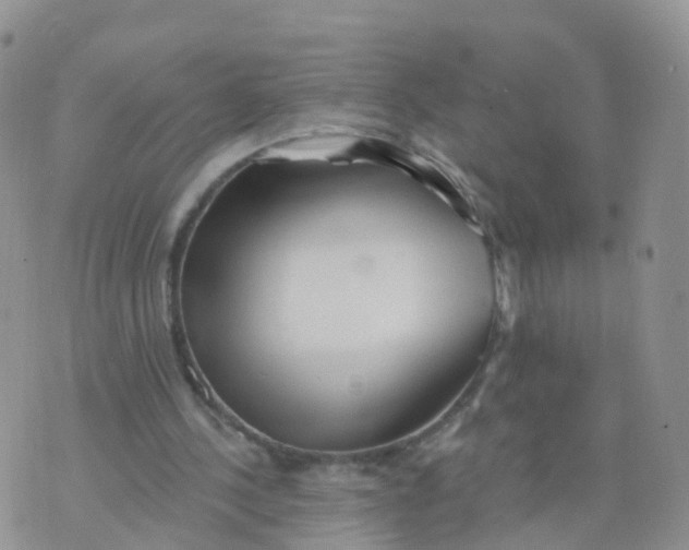 X0000070420244200606302108