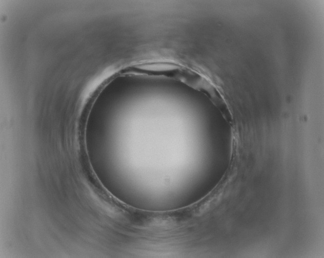 X0000070420248200606302108