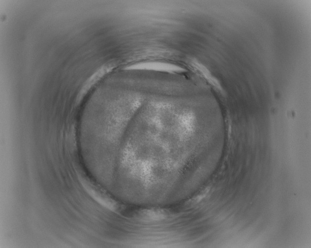 X0000070420250200606302108