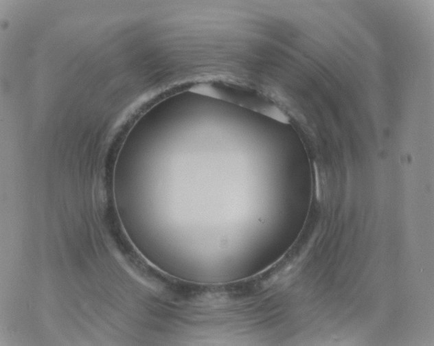 X0000070420252200606302108