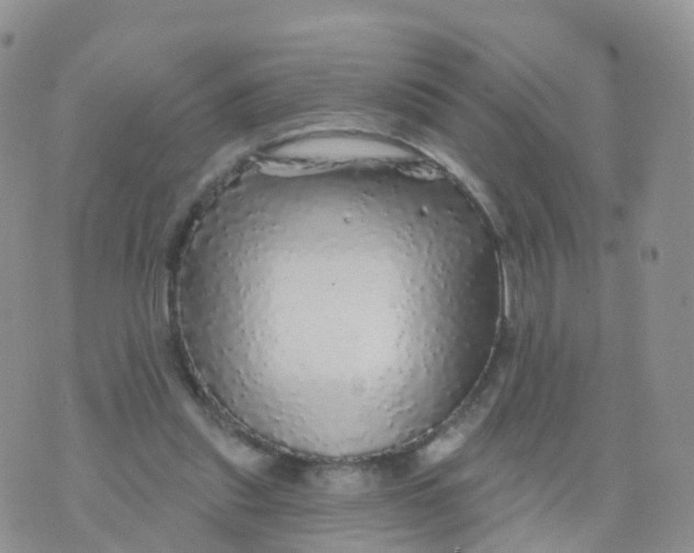 X0000070420253200606302108