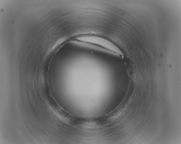 X0000070420256200606302108