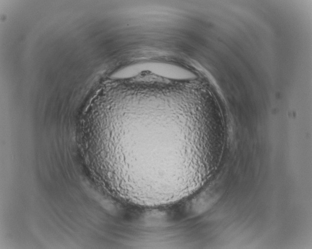 X0000070420257200606302108