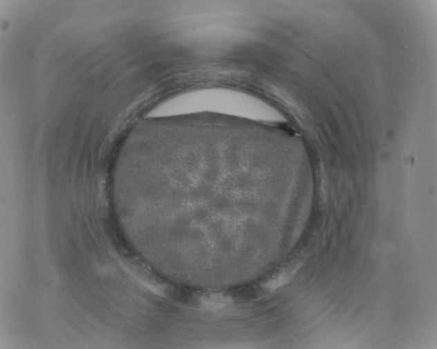 X0000070420258200606302108