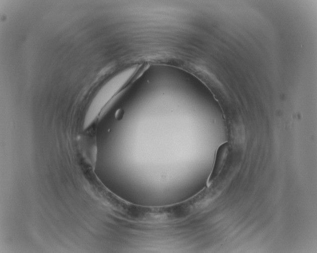 X0000070420260200606302108