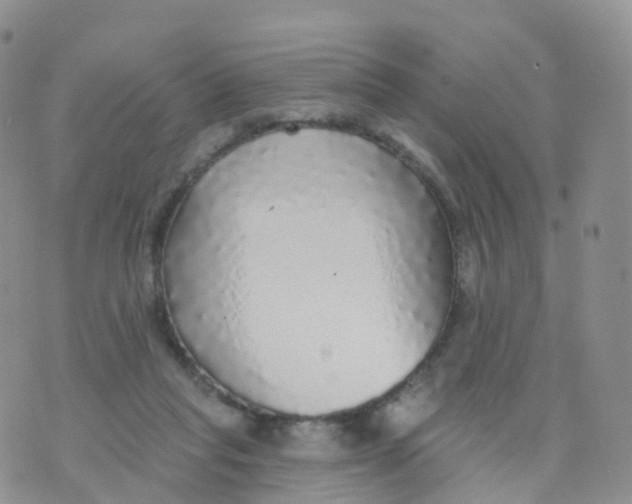 X0000070420261200606302108