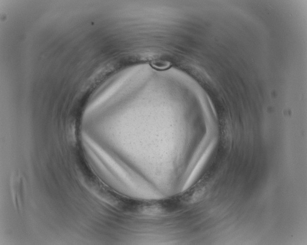 X0000070420262200606302108