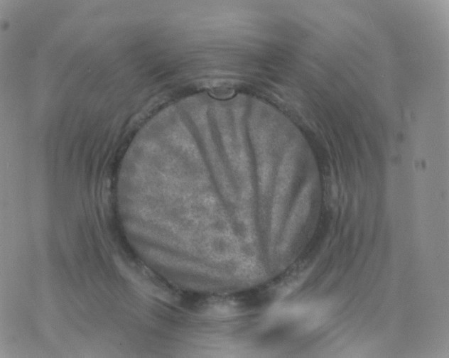 X0000070420263200606302108