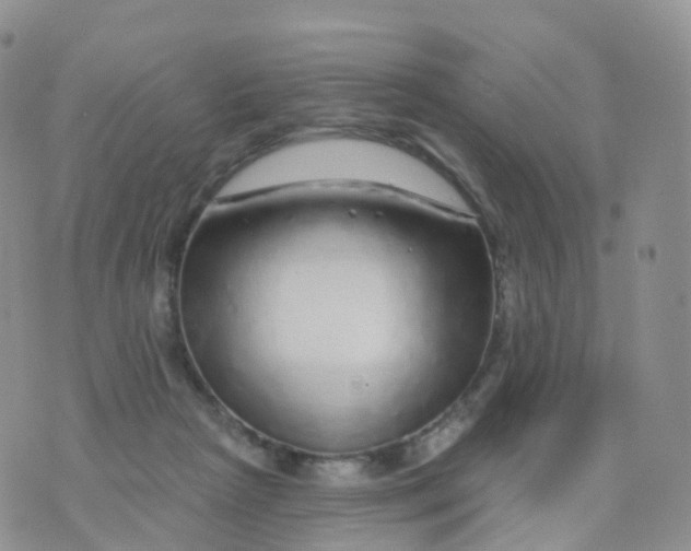 X0000070420265200606302108