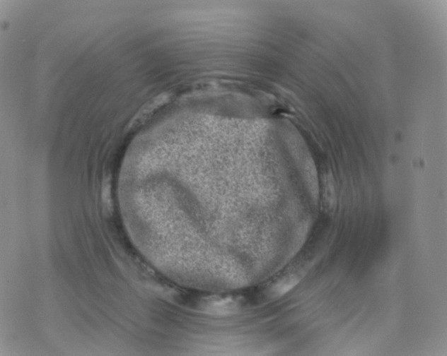 X0000070420267200606302108