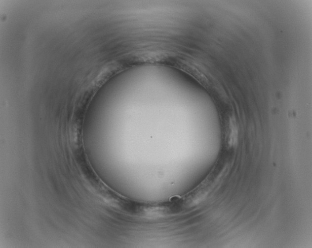 X0000070420268200606302108