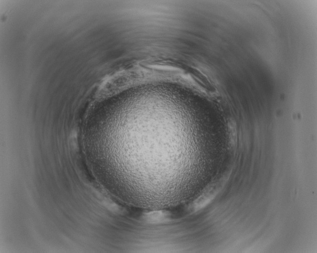 X0000070420269200606302108