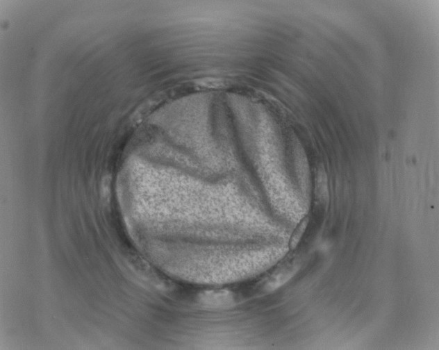 X0000070420271200606302108