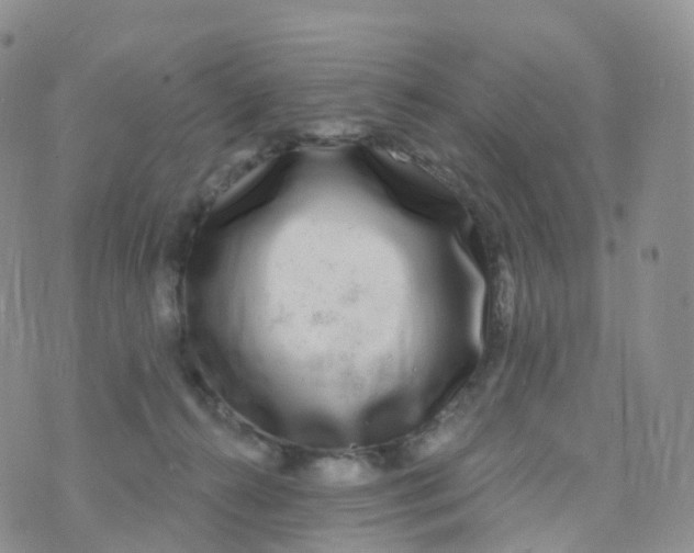 X0000070420272200606302108