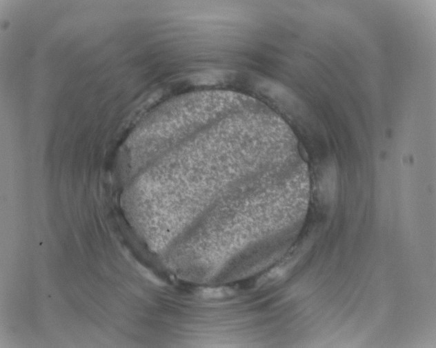 X0000070420277200606302109