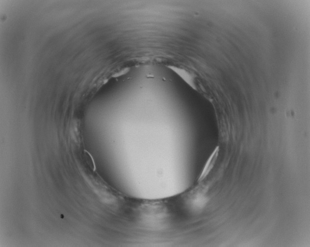 X0000070420280200606302109