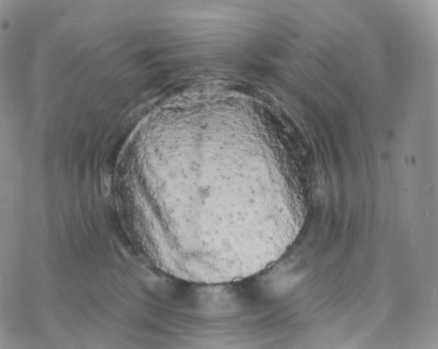 X0000070420281200606302109