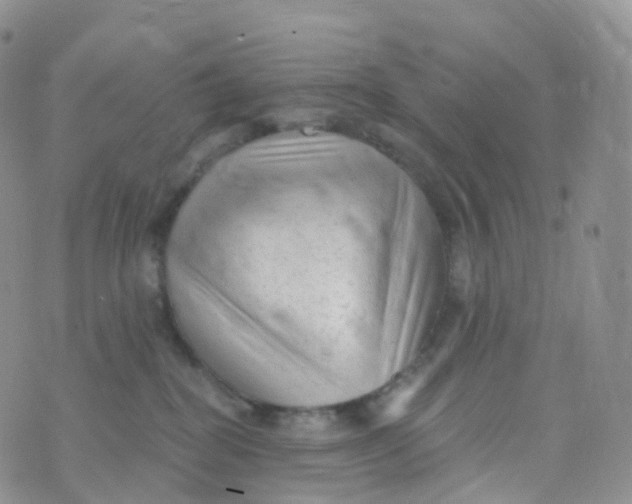 X0000070420282200606302109