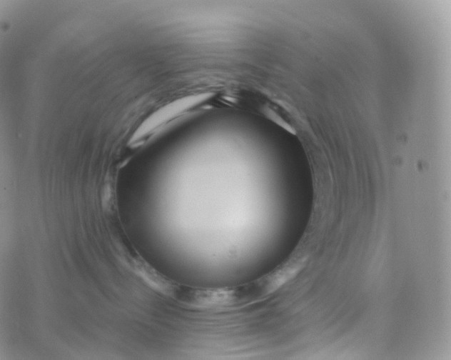 X0000070420288200606302109