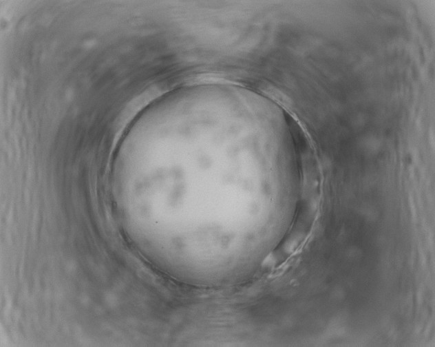 X0000070420289200606302108