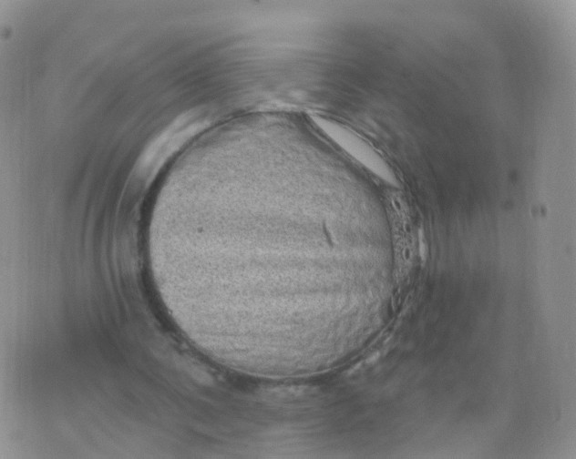 X0000070420291200606302108