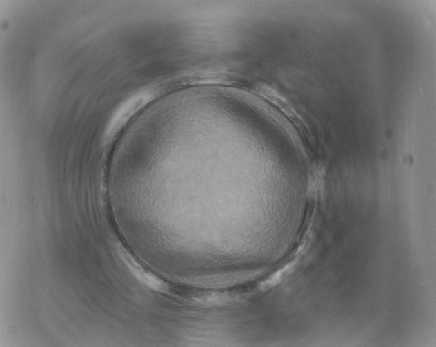 X0000070420293200606302108