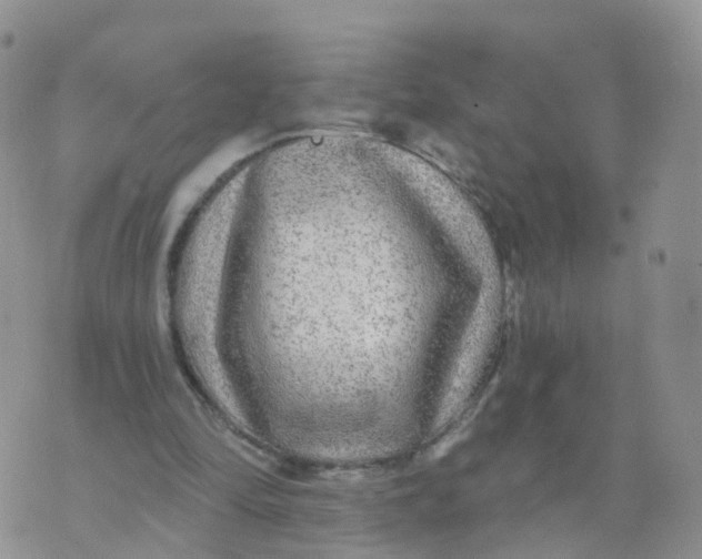 X0000070420294200606302108