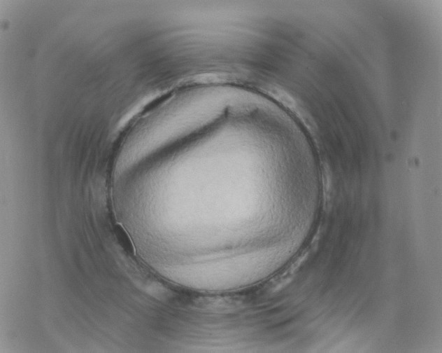 X0000070420297200606302108