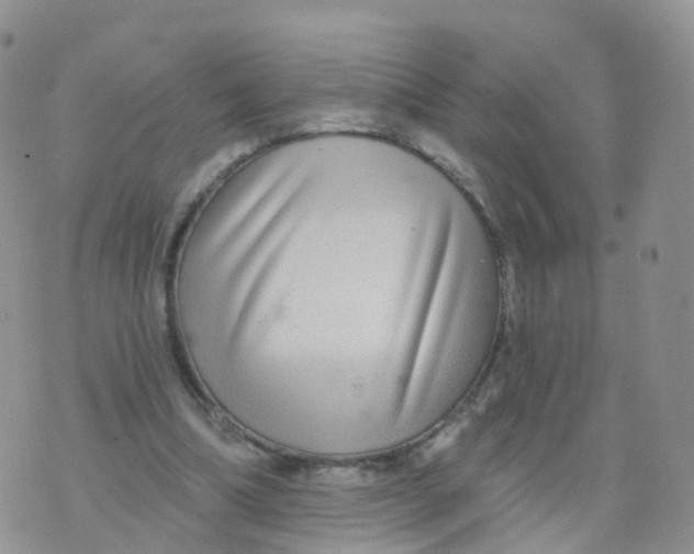 X0000070420298200606302108