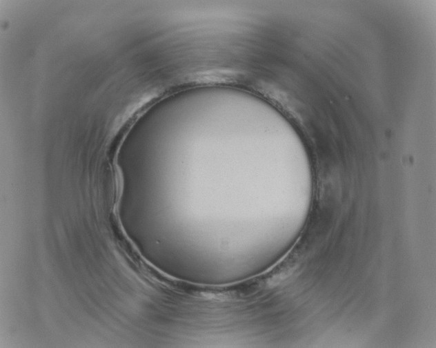 X0000070420299200606302108