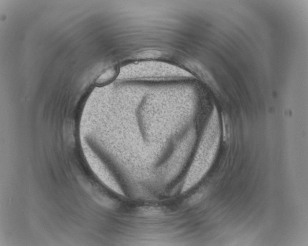 X0000070420300200606302108