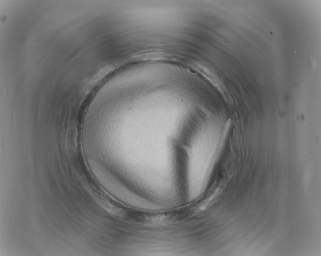 X0000070420301200606302108