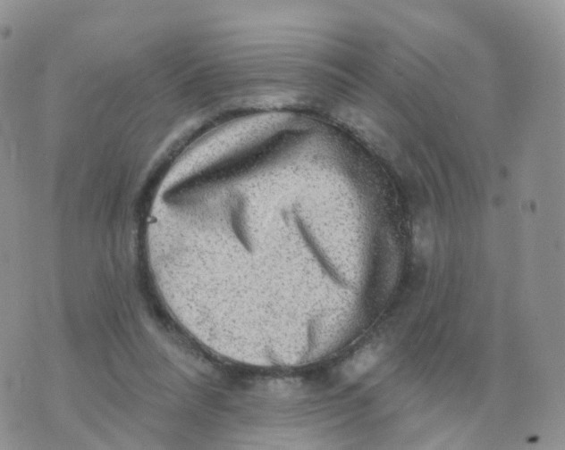 X0000070420304200606302108