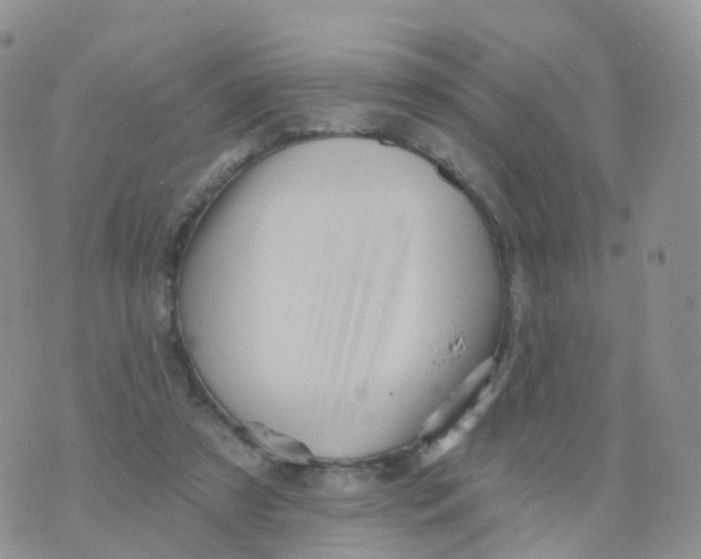 X0000070420305200606302108