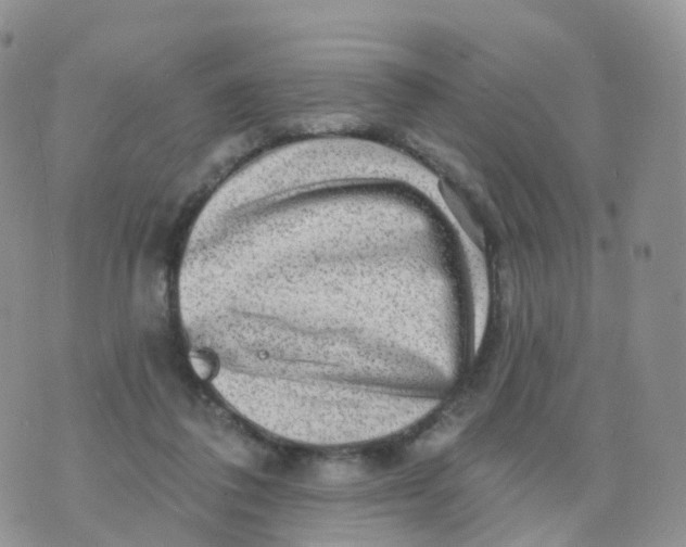 X0000070420308200606302108