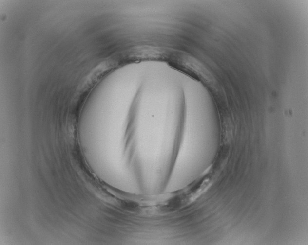 X0000070420309200606302108