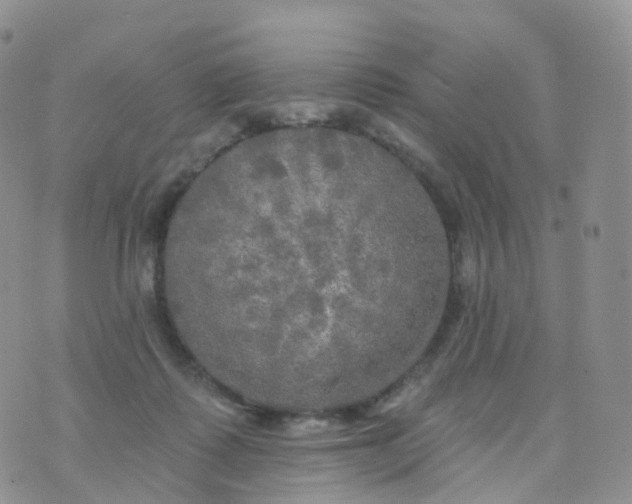 X0000070420315200606302108