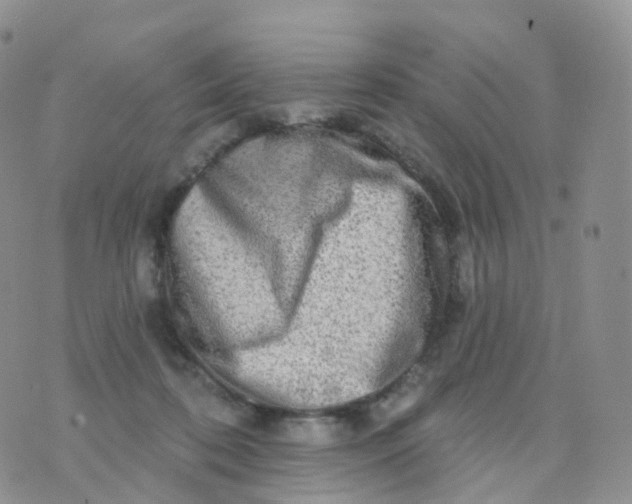 X0000070420316200606302108