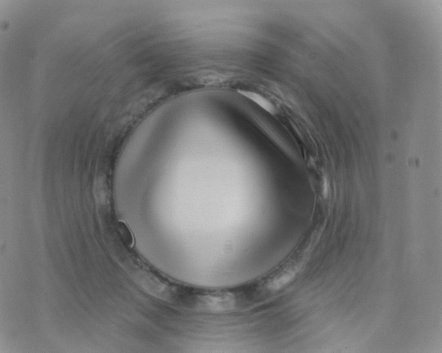 X0000070420317200606302108