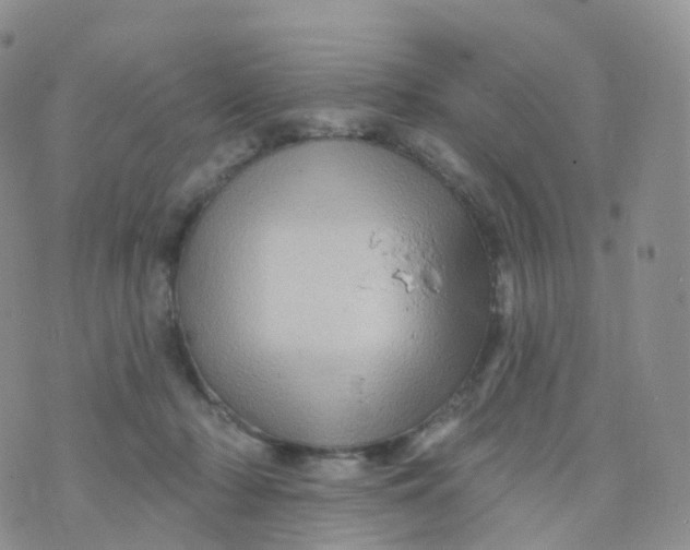 X0000070420318200606302107