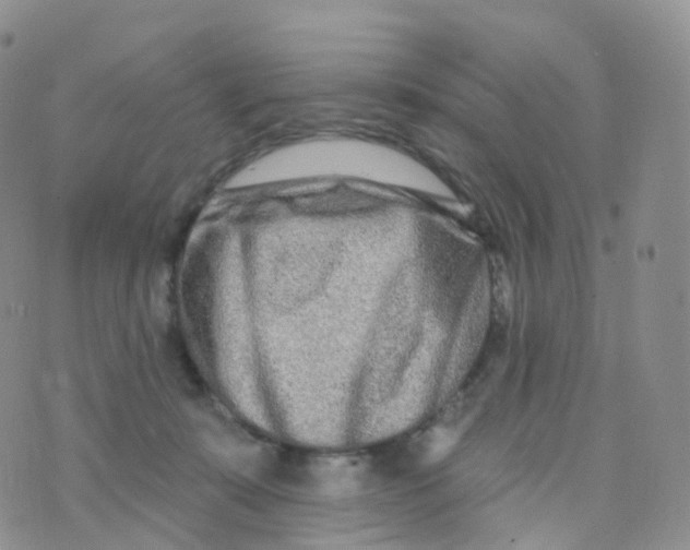 X0000070420319200606302107