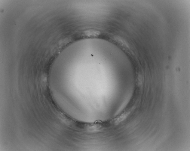 X0000070420321200606302107