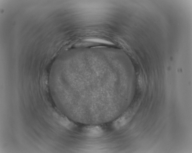 X0000070420322200606302107