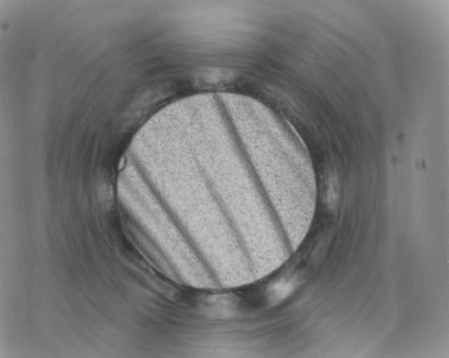 X0000070420324200606302107