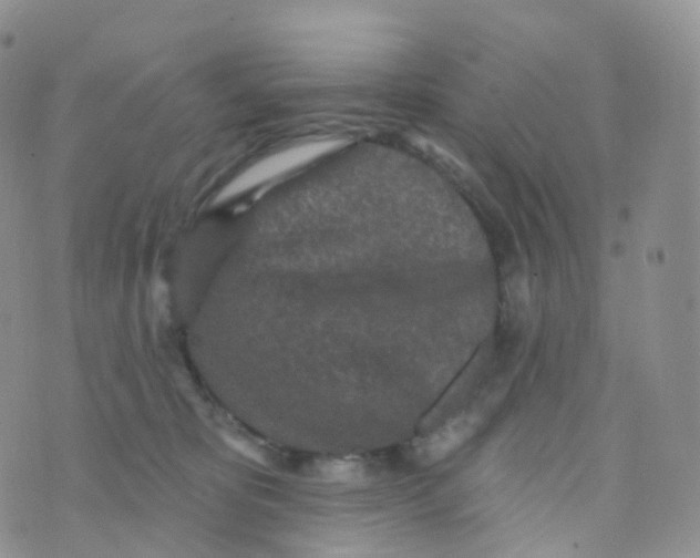 X0000070420325200606302107